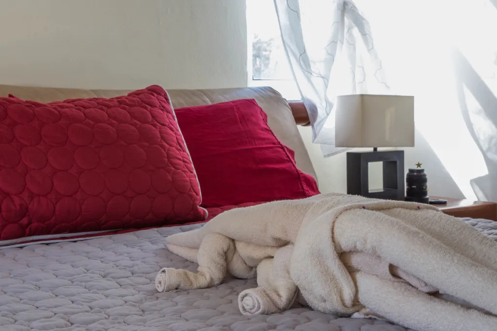 SINGLE SUPERIOR KING BED Room, Playa On Time, Playa Del Carmen