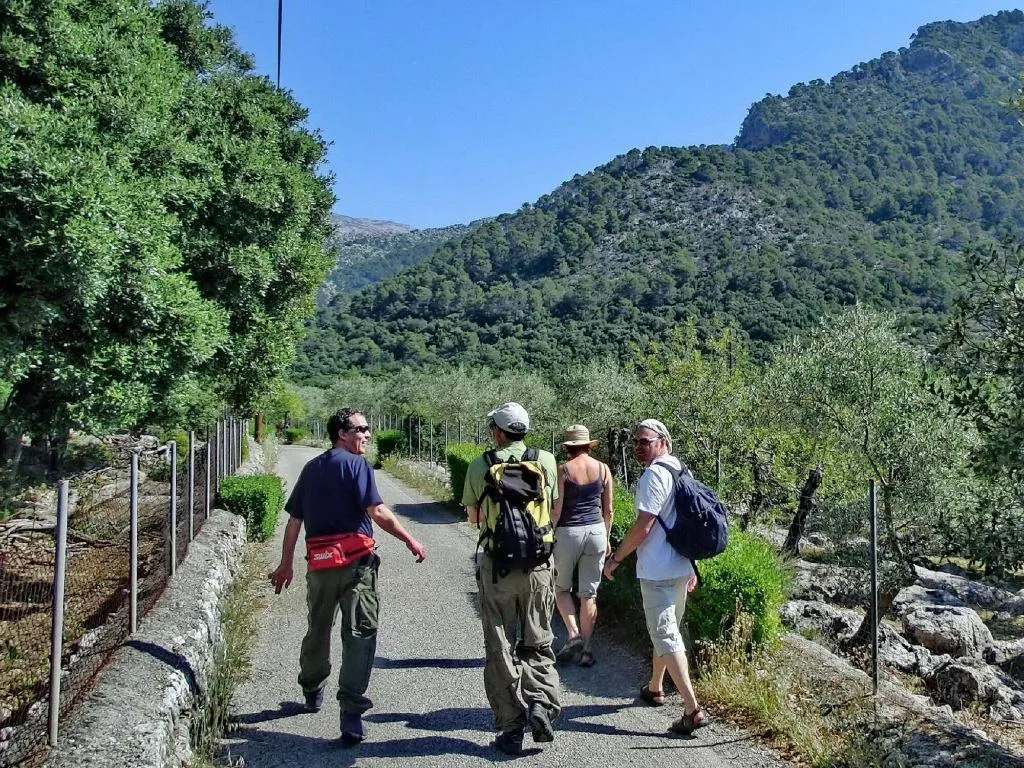 Sports and Entertainment, Monnaber Vell, Majorca