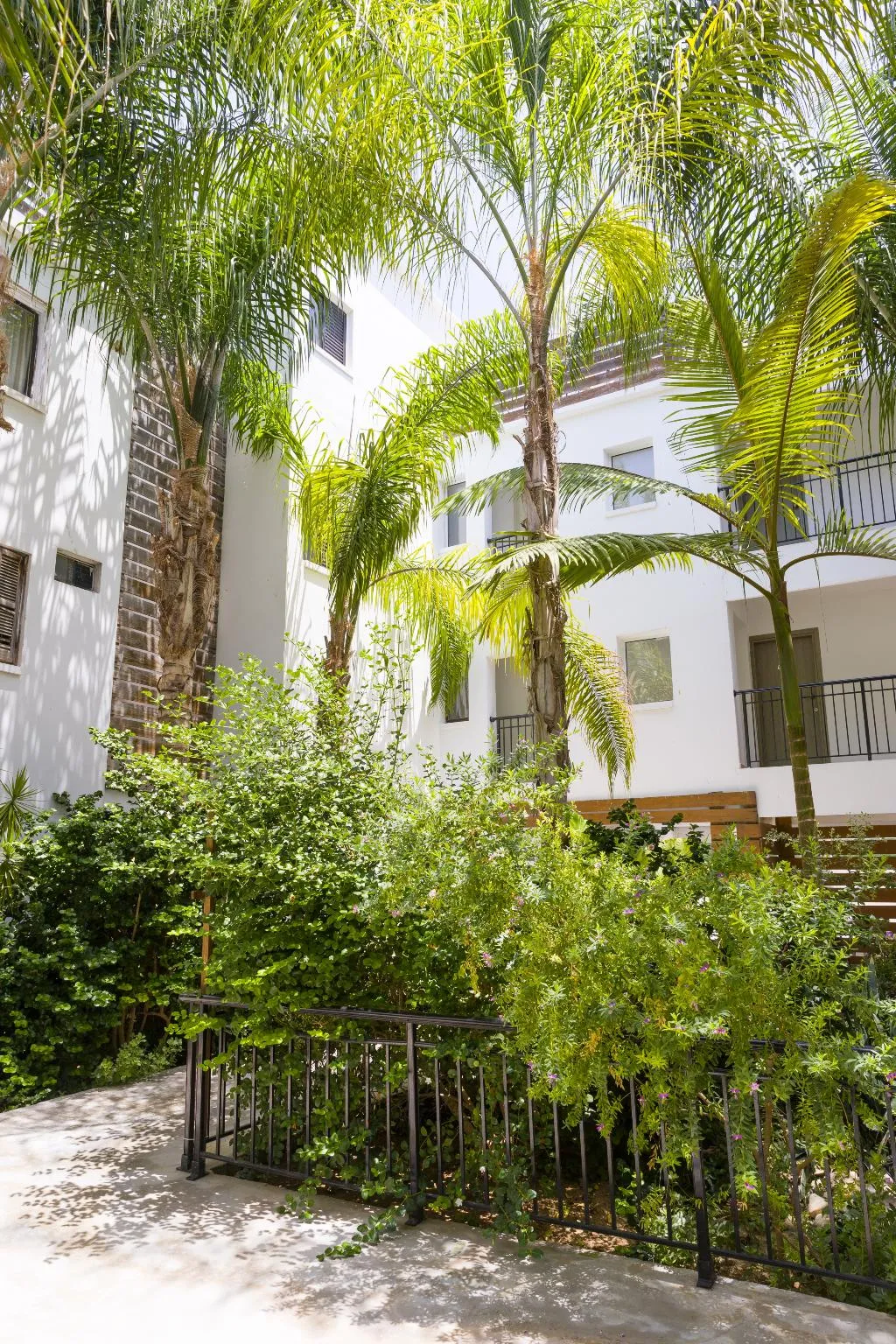 General view, Alecos Hotel Apts, Cyprus