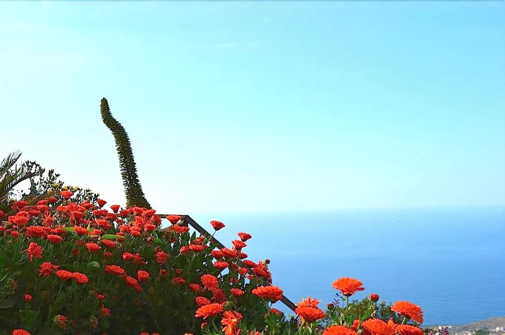 Room, Casonas de Marengo, Tenerife