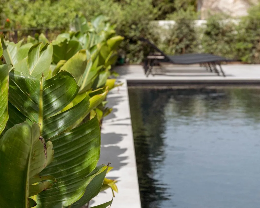 Pool, Alta House Begur, Costa Brava