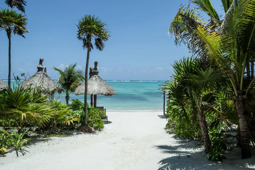 General view, Jashita Hotel, Cancun Area