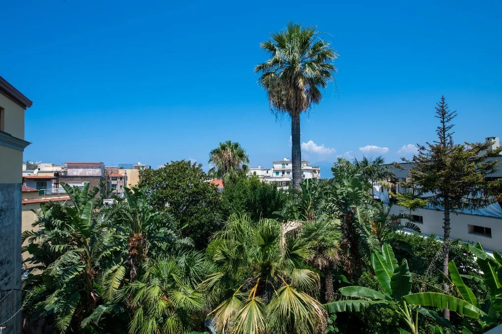 General view, Don Giulio Luxury Rooms, Naples