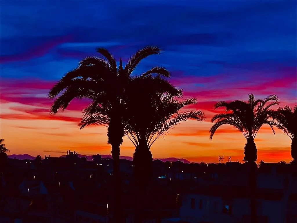 General view, Destino De Sol De Los Alcazares, Costa Blanca