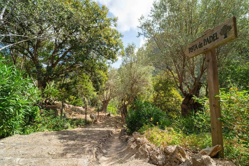 Sports and Entertainment, Hotel Rural S'Olivaret, Majorca