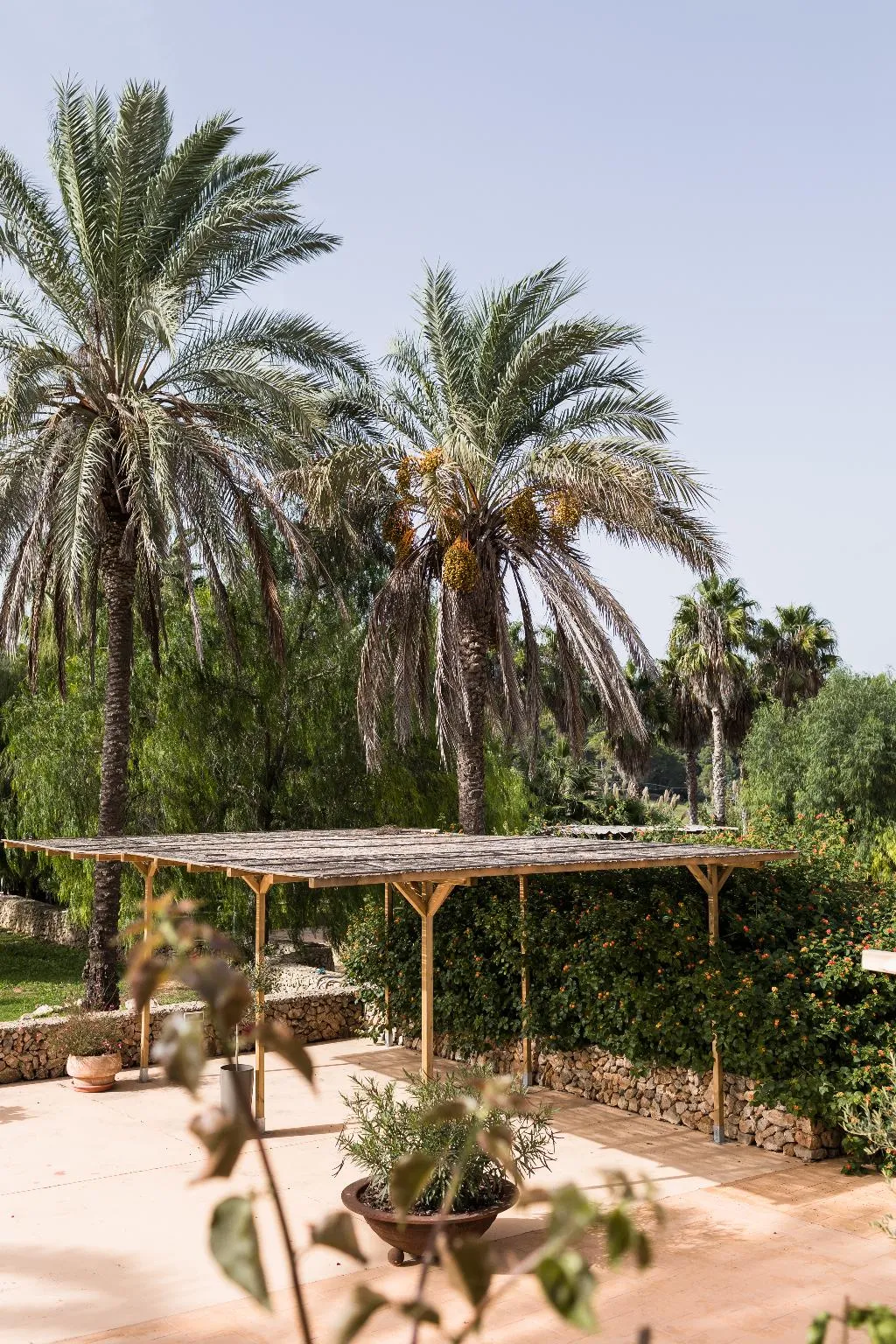 Terrace, Llucatx Menorca, Menorca