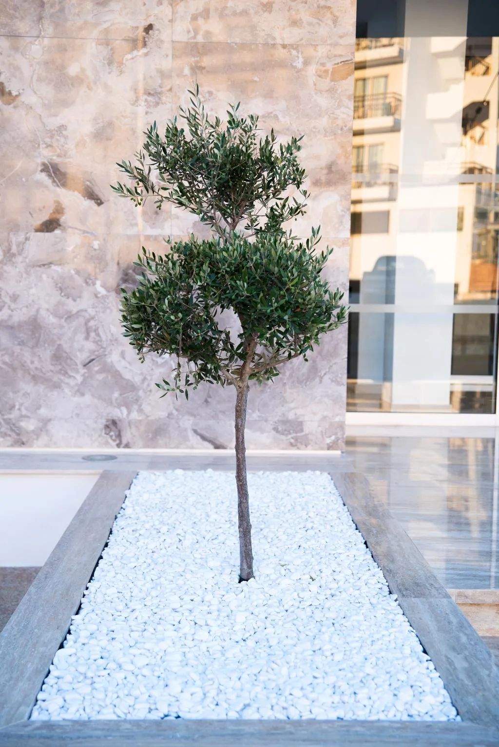 Terrace, Mandali Hotel, Cyprus