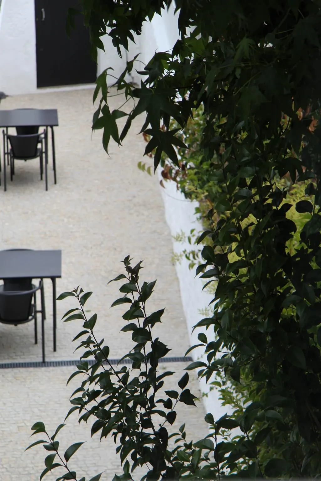 Terrace, Porto Music Guest House, Porto