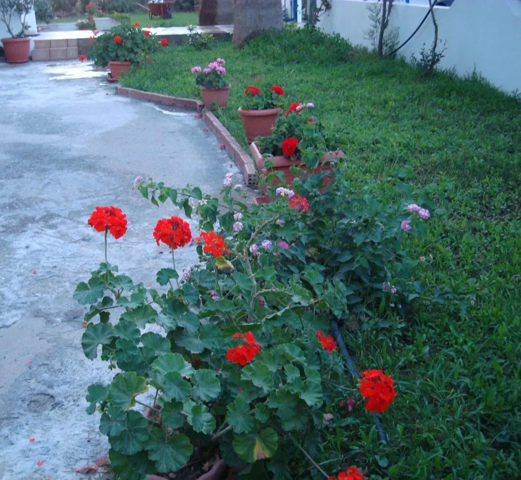 General view, Philippos Studios & Apartments, Kos