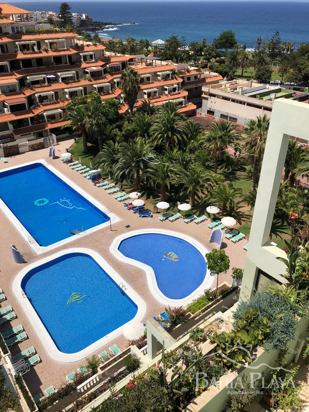 Pool, Bahia Playa, Tenerife