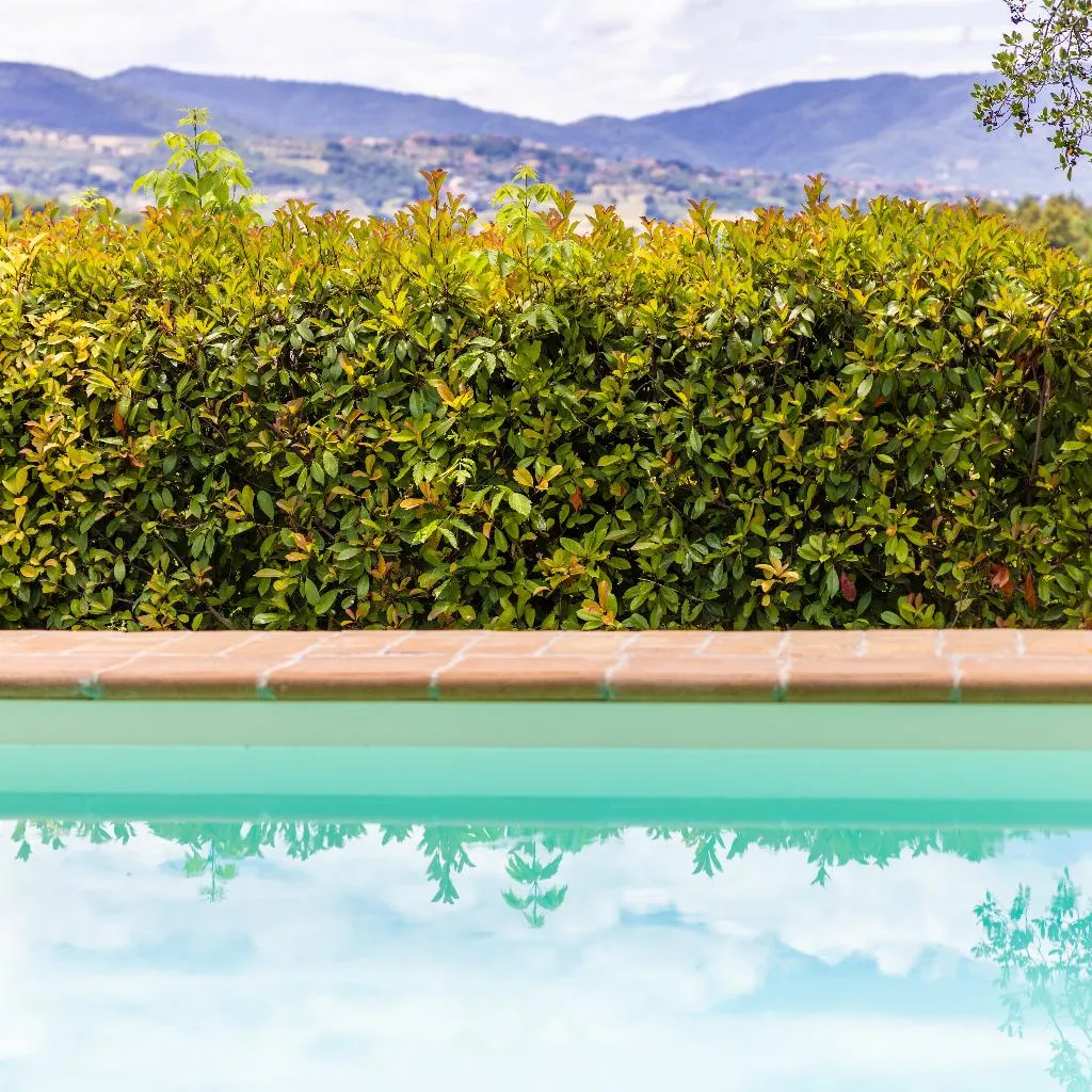 Pool, Un Petit Paradis, Perugia
