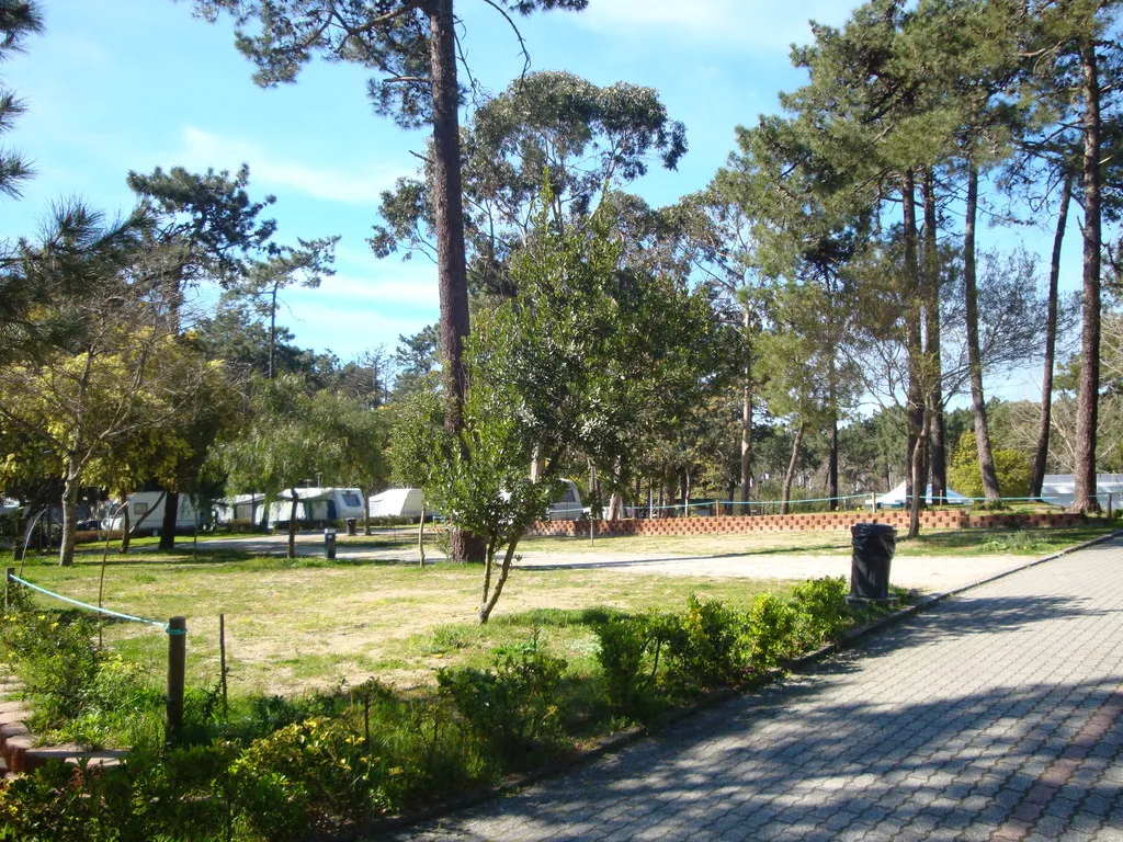 General view, Orbitur Caminha, Porto