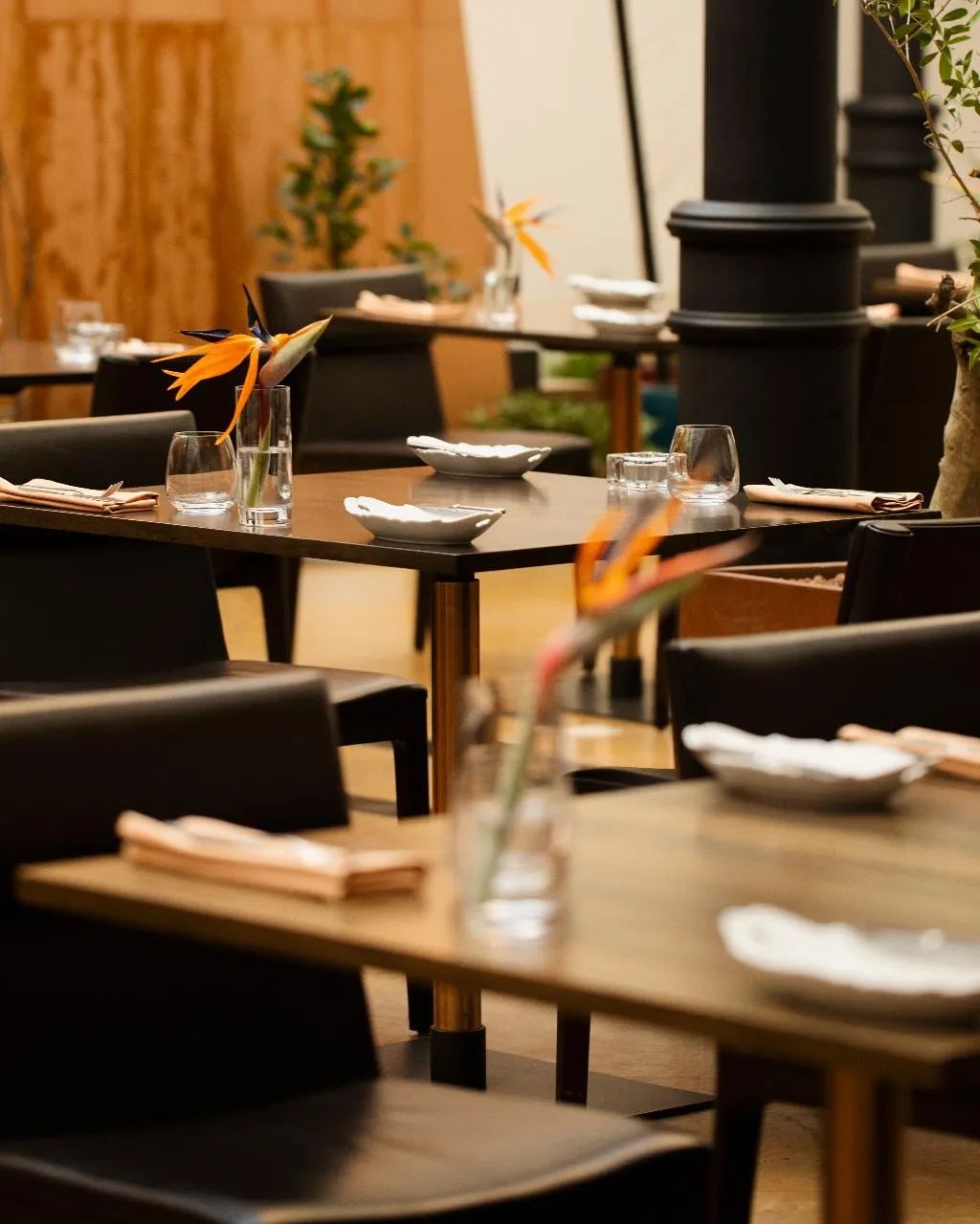 Restaurant, Pod Roza, Krakow