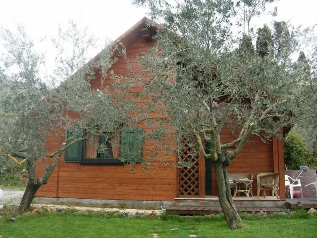 General view, Villa Clementine, Palermo