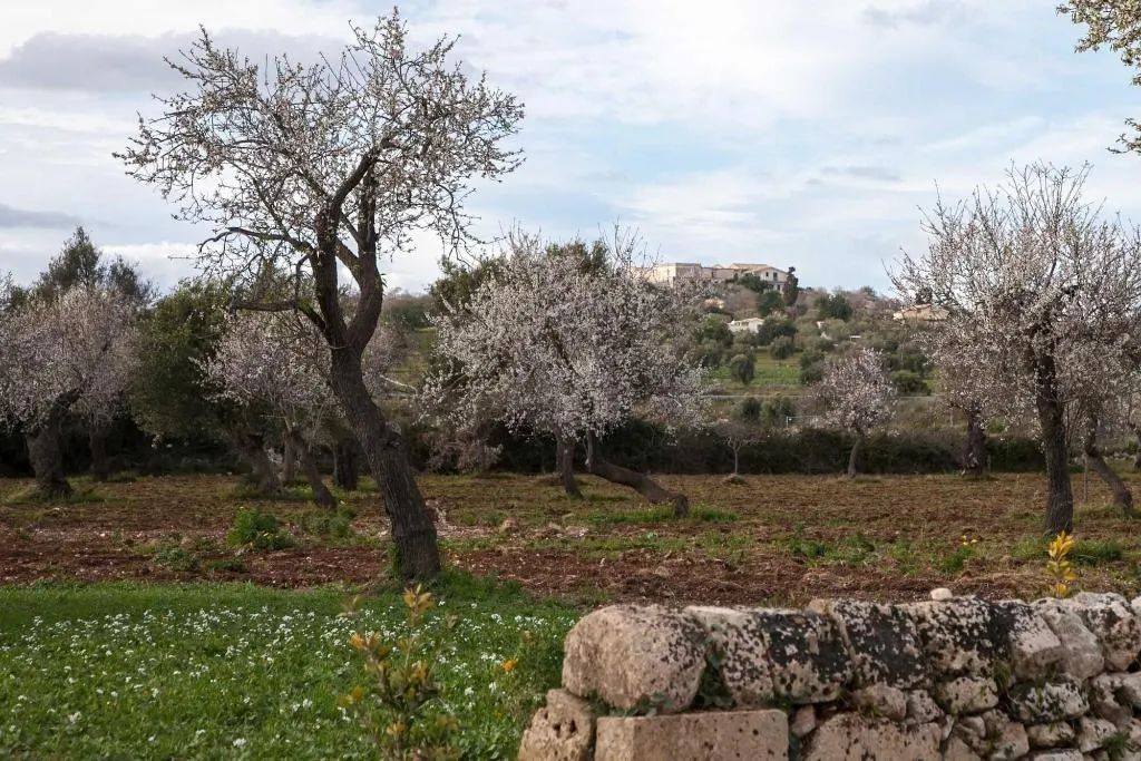 General view, Zahir Country House, Catania