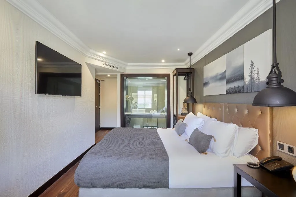 DOUBLE SUPERIOR Room, Hotel Cortes Rambla, Barcelona