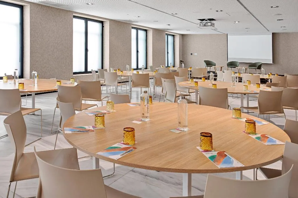 Conferences, Melia Madrid Serrano, Madrid