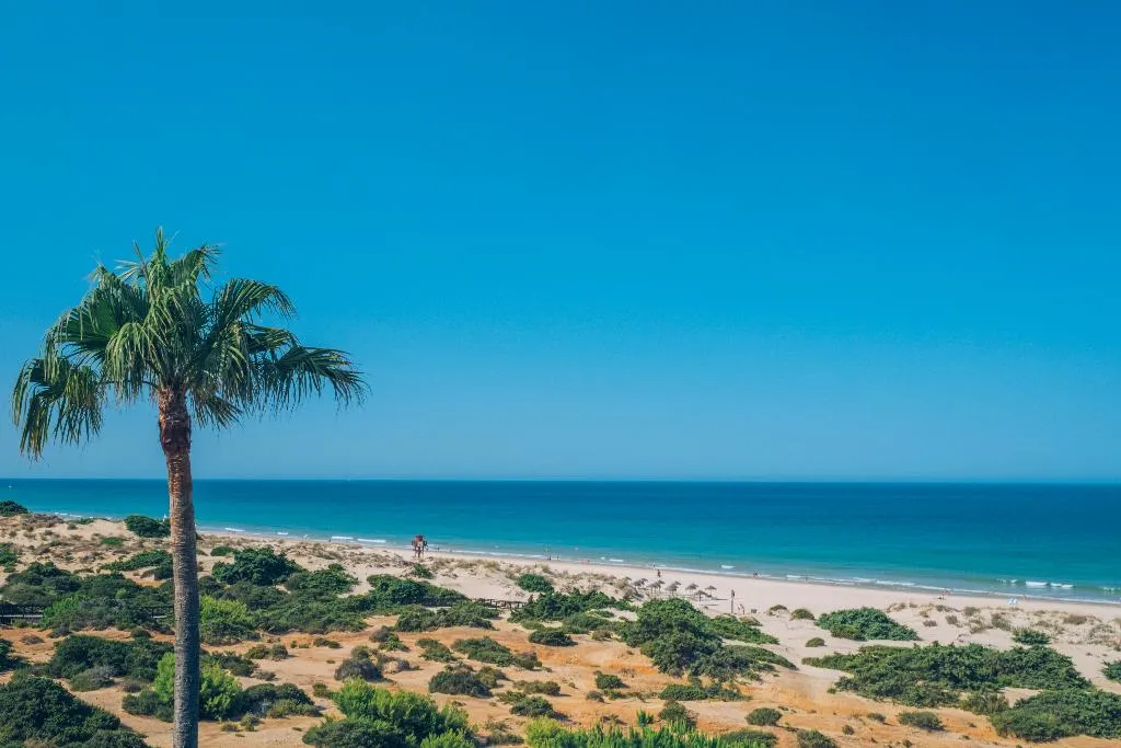Beach, Iberostar Waves Royal Andalus, Costa De La Luz
