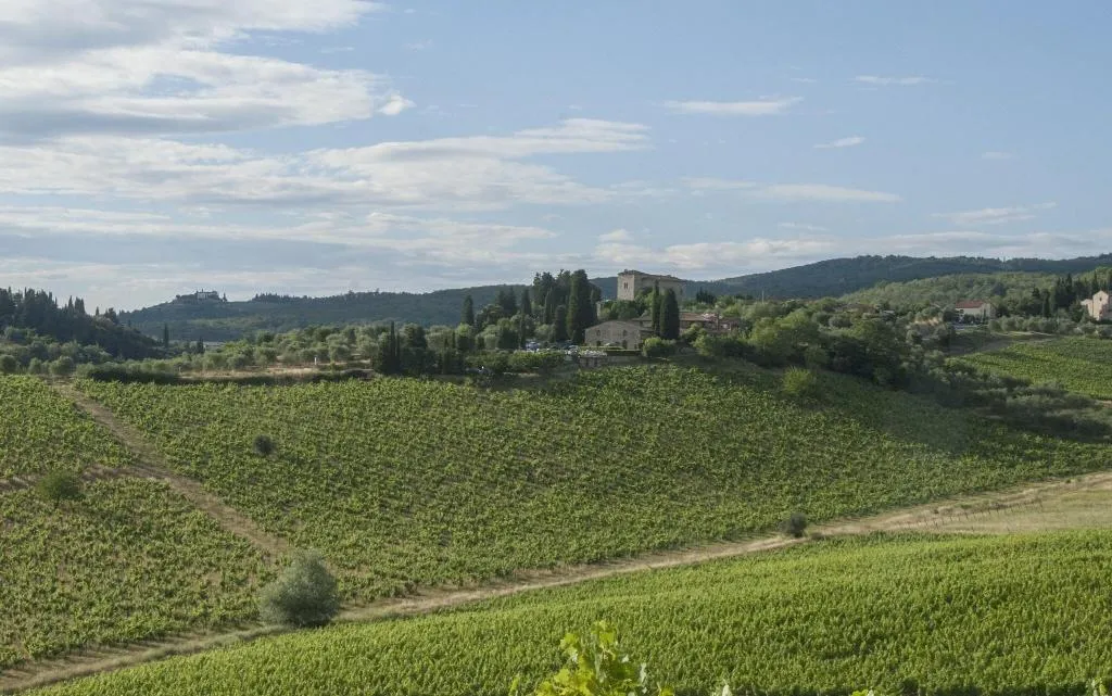 Sports and Entertainment, Belvedere Di San Leonino, Florence