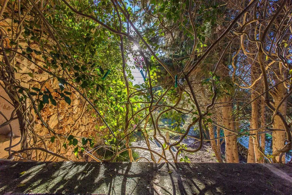 SUITE DELUXE Room, Son Foguero Agroturismo, Majorca