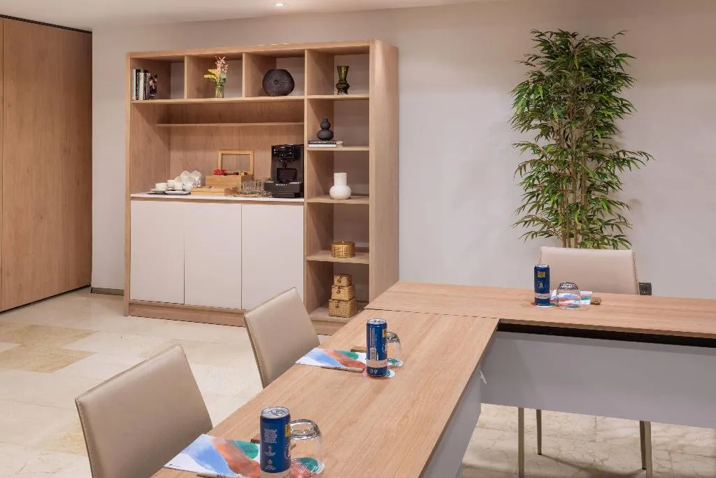 Conferences, Melia Sevilla, Seville