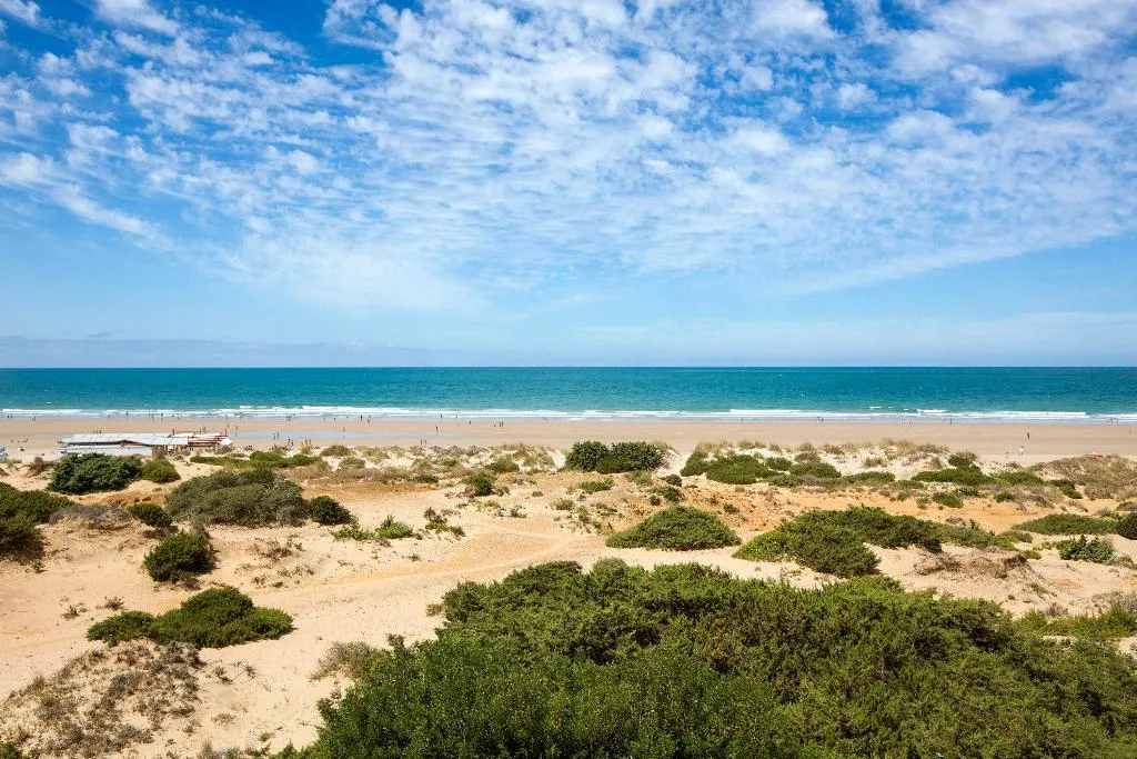 Beach, Hipotels Barrosa Palace, Costa De La Luz