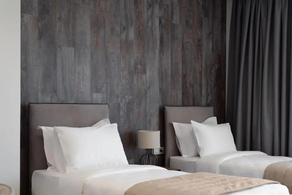 TWIN STANDARD Room, Athenian Spirit, Athens