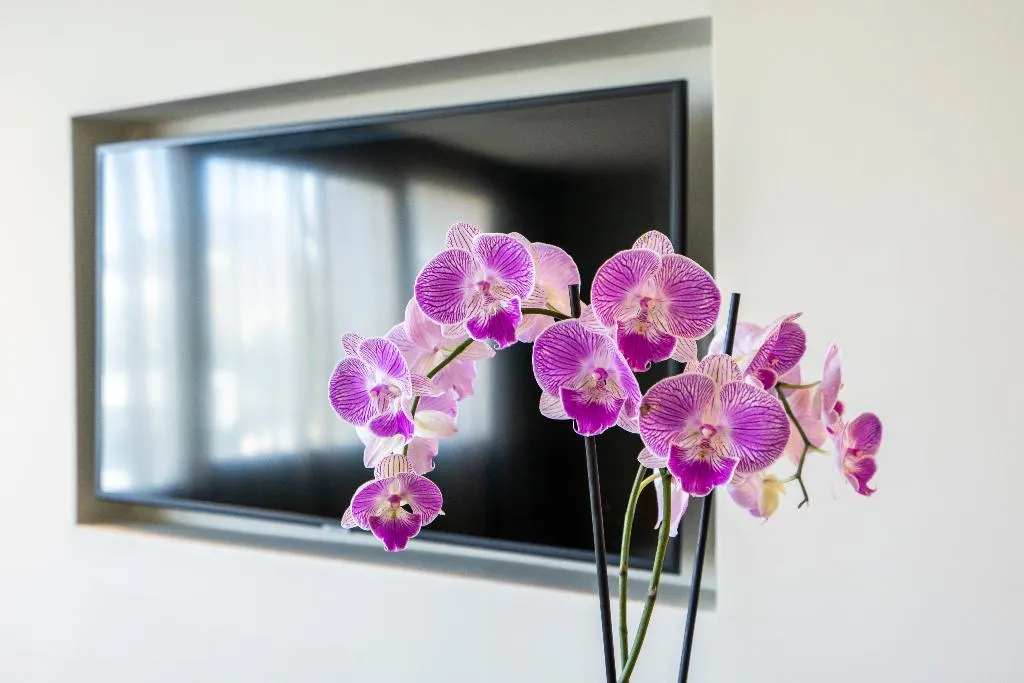 JUNIOR SUITE CLASSIC Room, JM Suites Hotel Eco-Friendly Casablanca, Casablanca