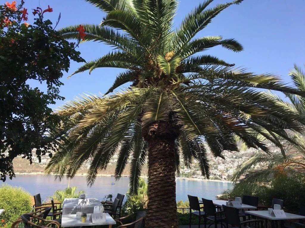 General view, Patara Prince Resort, Dalaman