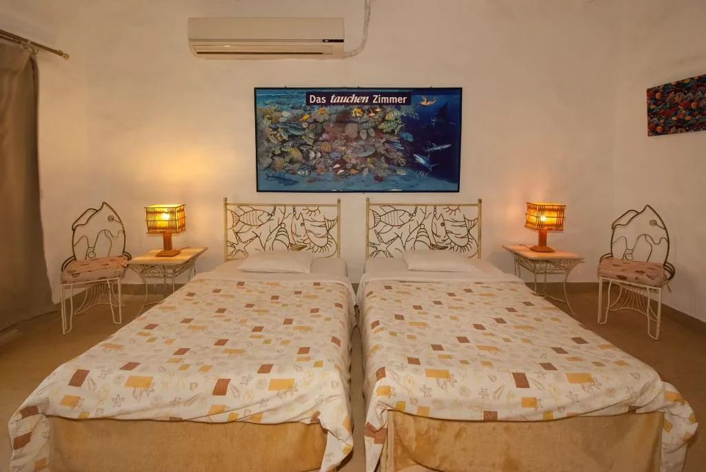 Room, The Oasis Dive Resort, Red Sea Riviera