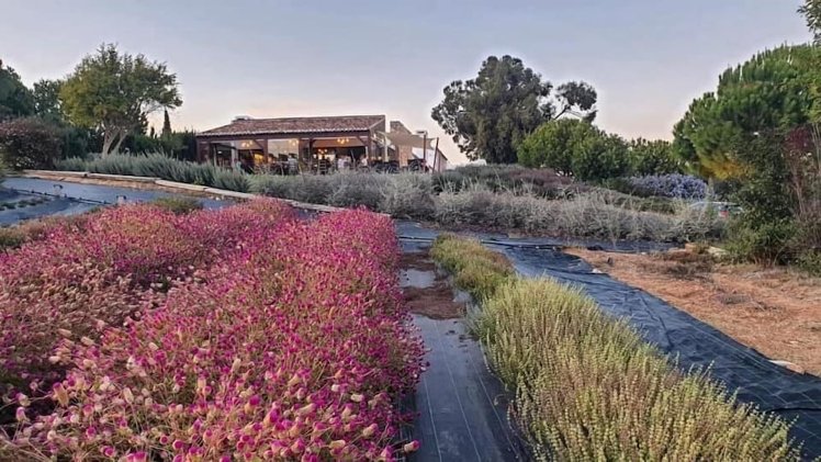 Quinta do Mel, Algarve