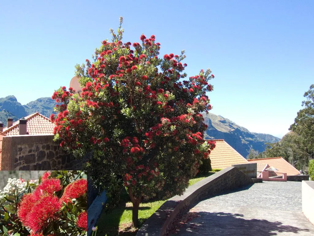 General view, Valley View Hotel Encumeada, Madeira