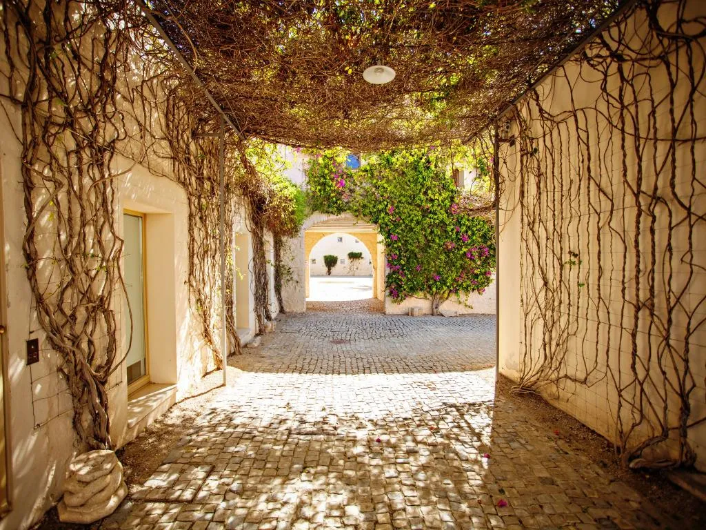 Terrace, Convento das Bernardas by My Choice, Algarve