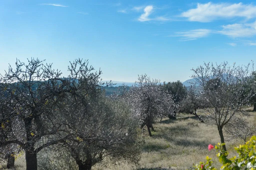 Double or Twin CAPACITY 4 Room, Agroturismo Can Prats, Ibiza