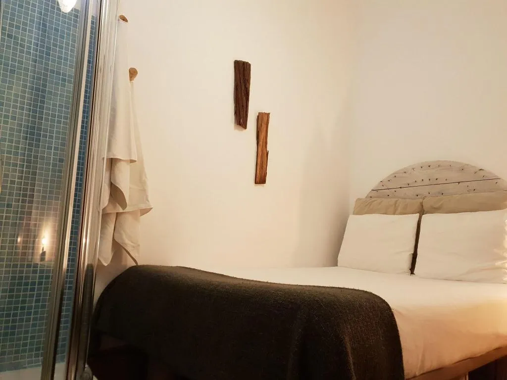 Room, Cactus Host, Gran Canaria