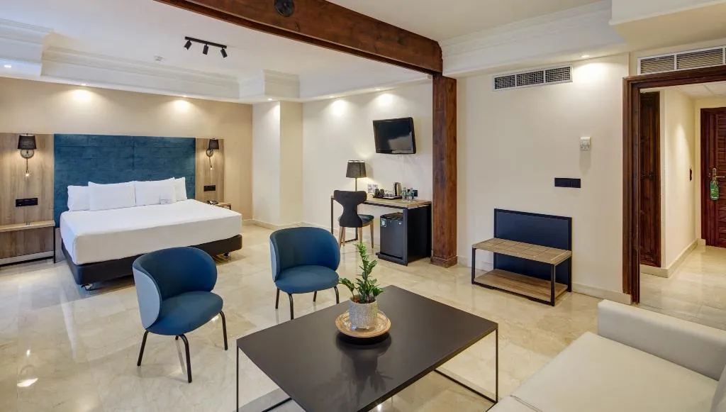 DOUBLE SUPERIOR Room, Sercotel Alfonso VI, Madrid