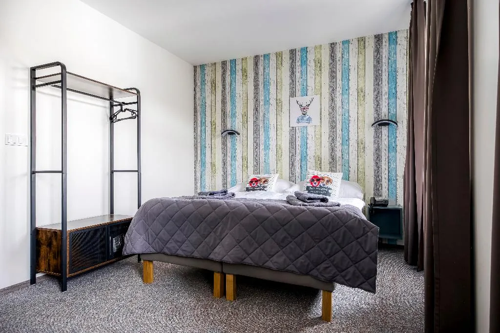 DOUBLE STANDARD Room, Hotel Villa Wagner, Prague