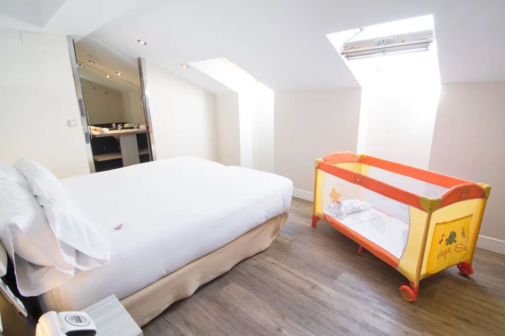 DOUBLE STANDARD Room, Petit Palace Arenal, Madrid
