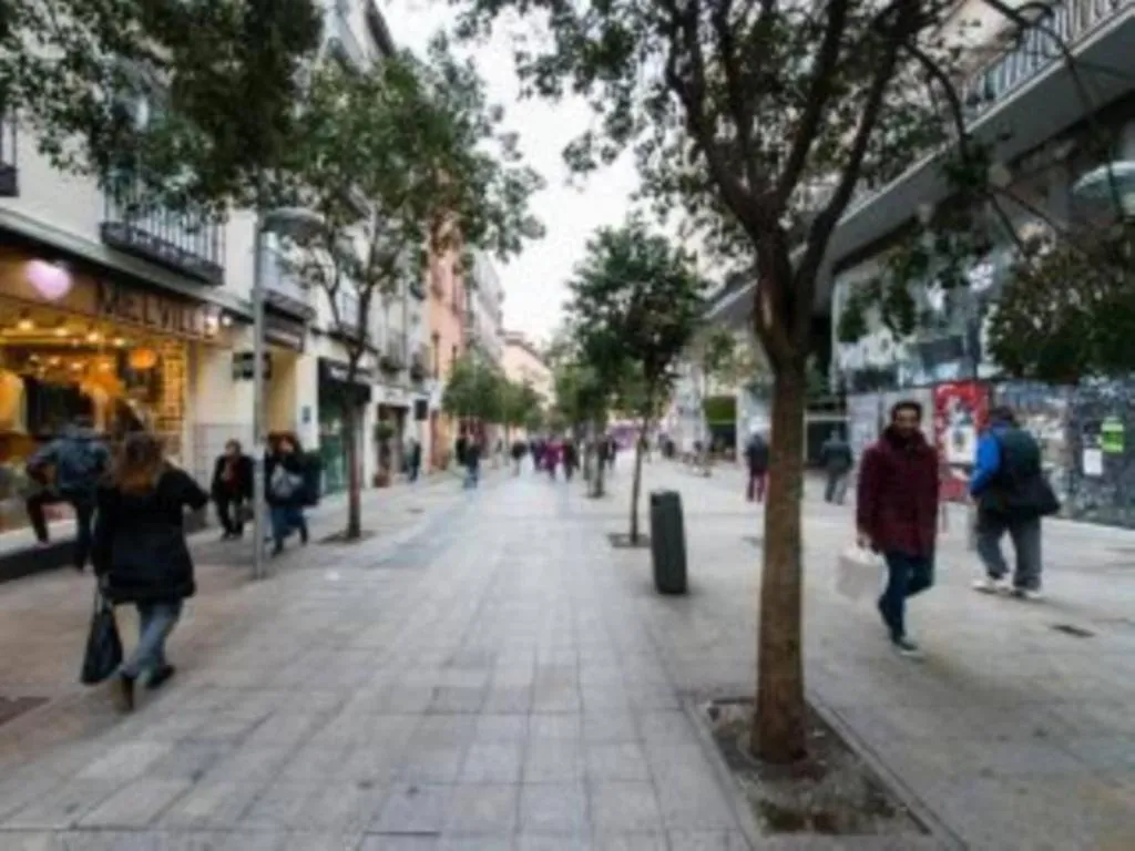 General view, Madrid Center Fuencarral Pedestrian, Madrid