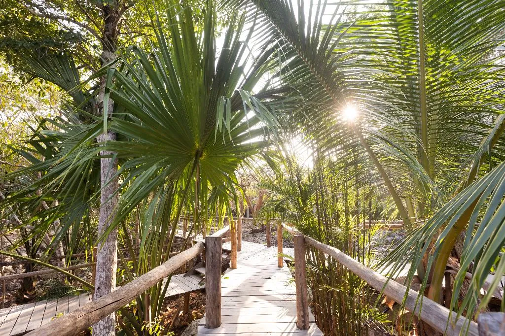 Lobby, Pepem Holistic Experience - Adults Only, Cancun Area
