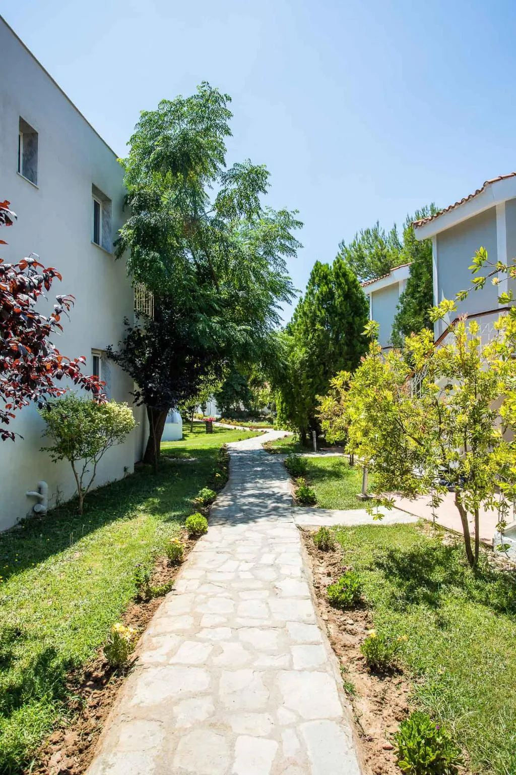 General view, Coral Blue Beach Hotel Gerakini, Halkidiki
