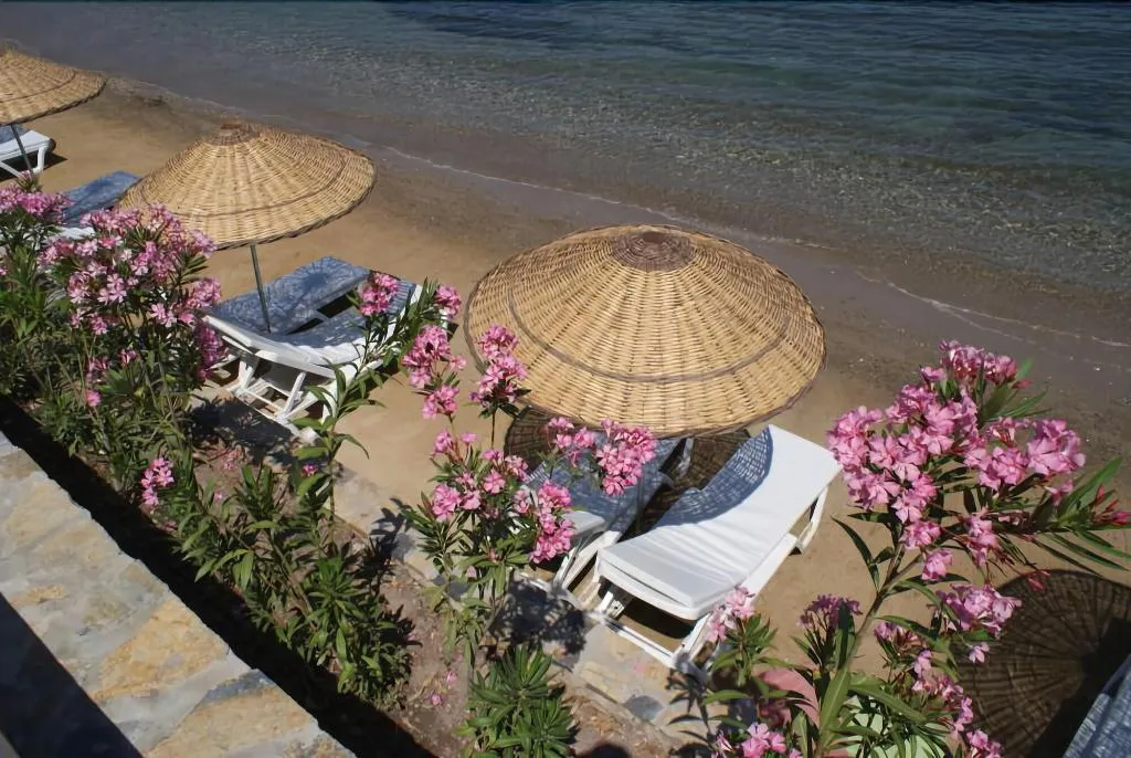 Beach, Med-Inn Boutique Hotel, Bodrum