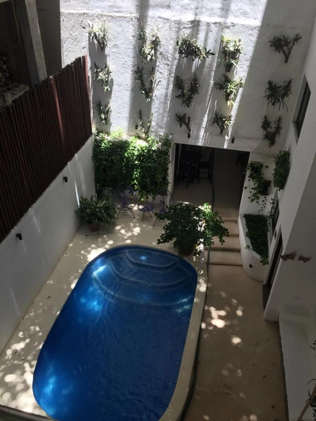 Pool, Casa Ticul, Playa Del Carmen