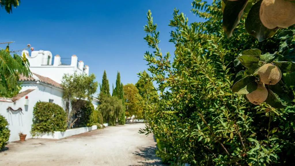 General view, Boutique Hotel Molino del Arco, Costa Del Sol
