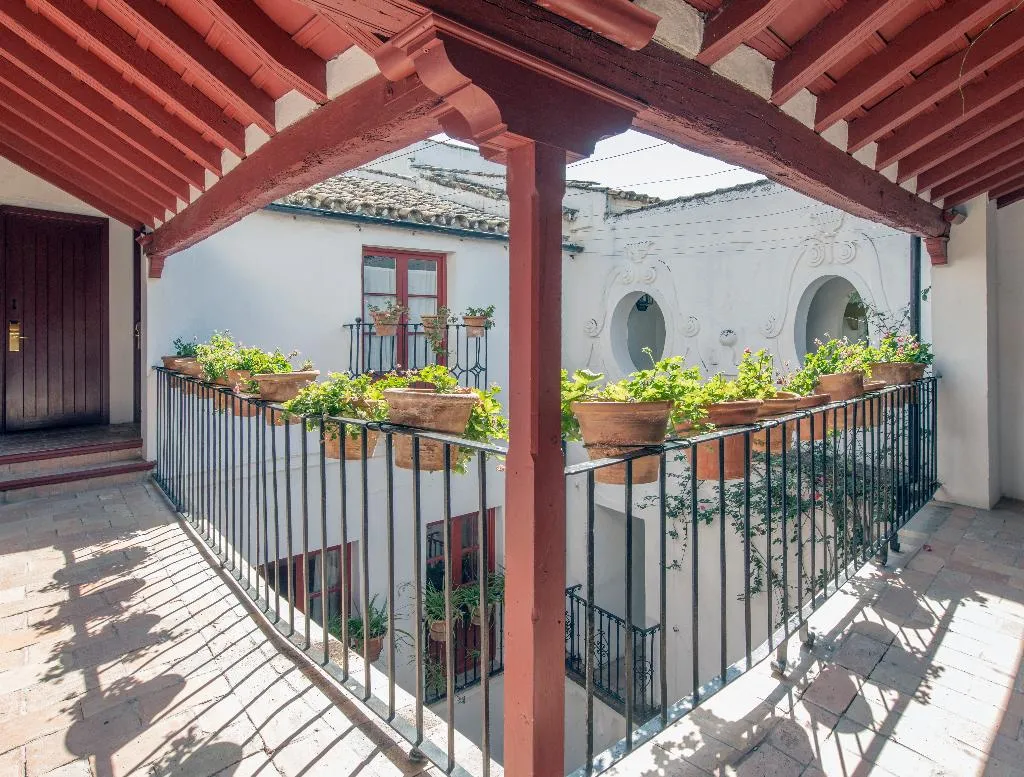 Terrace, Casas de la Juderia, Seville