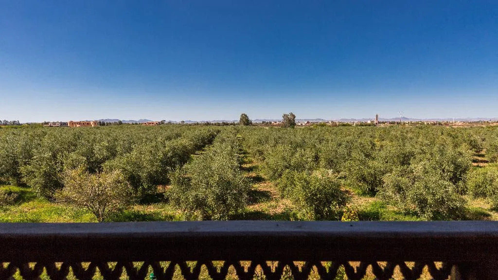 General view, L'oliveraie de L'atlas, Marrakech