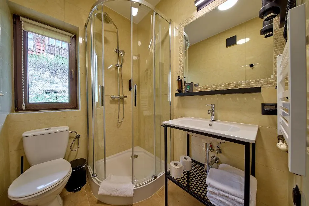 DOUBLE SINGLE USE DELUXE Room, Willa Jan, Krakow