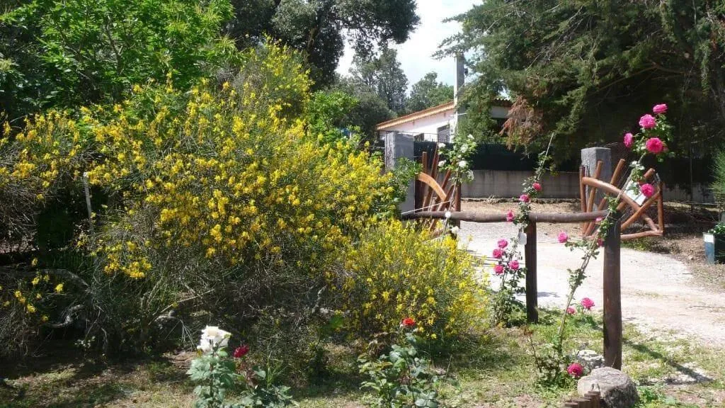 General view, Casa Solotti, Olbia