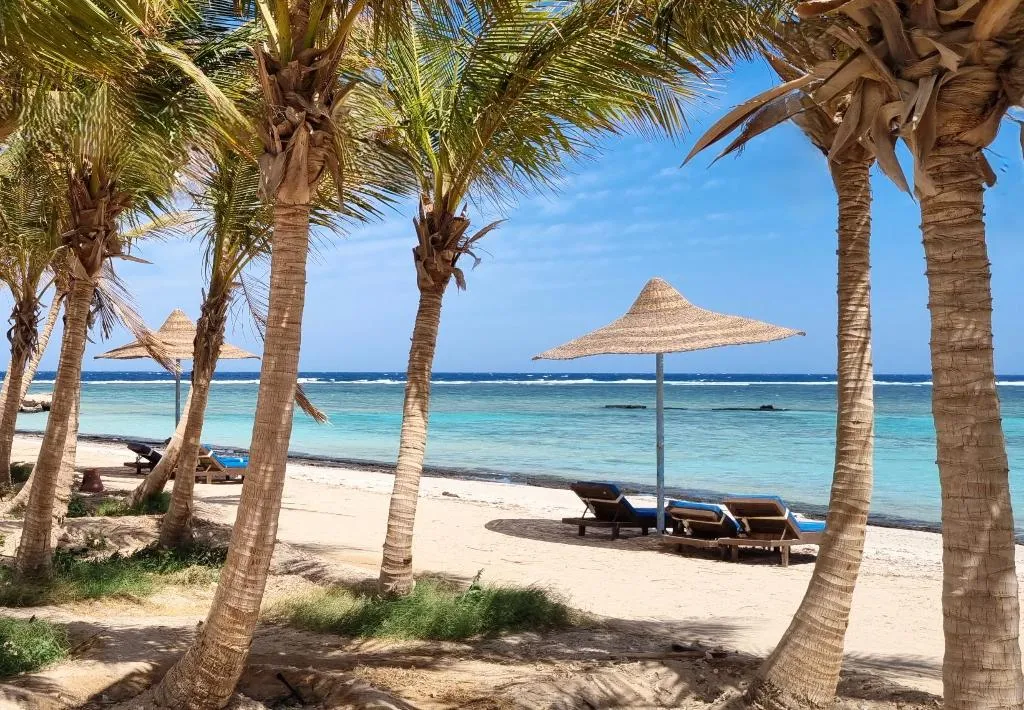 Beach, Mangrove Bay Resort, Red Sea Riviera