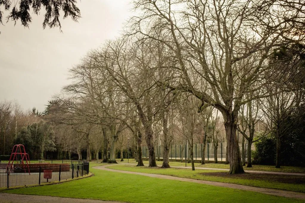 General view, Dcu Rooms Glasnevin, Dublin